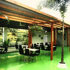Camelia House