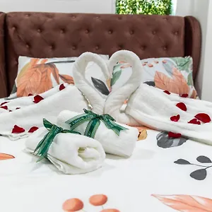 Mount Austin Midori 10 Pax Free Wi-fi 500mbps Netflix * Johor Bahru